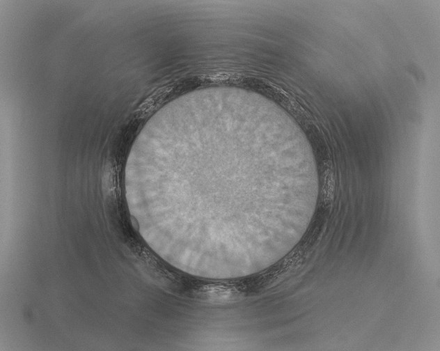 X0000115450272200912161520