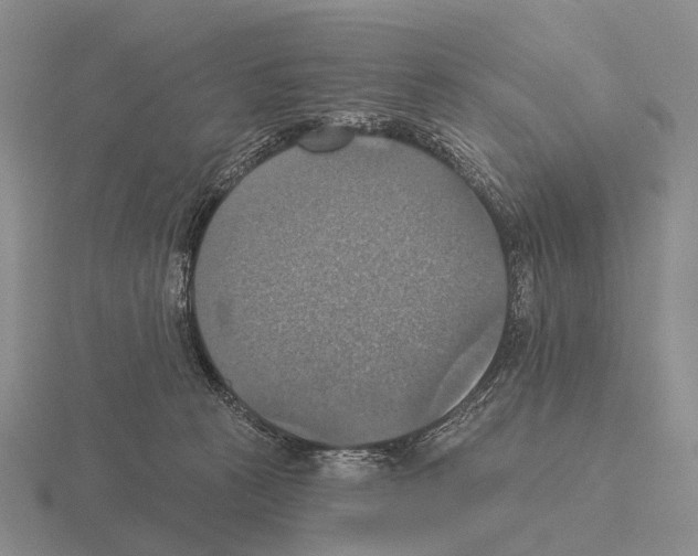 X0000115450273200912161520