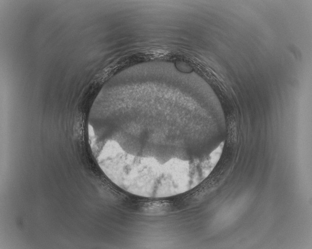 X0000115450274200912161520