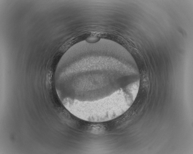 X0000115450275200912161520