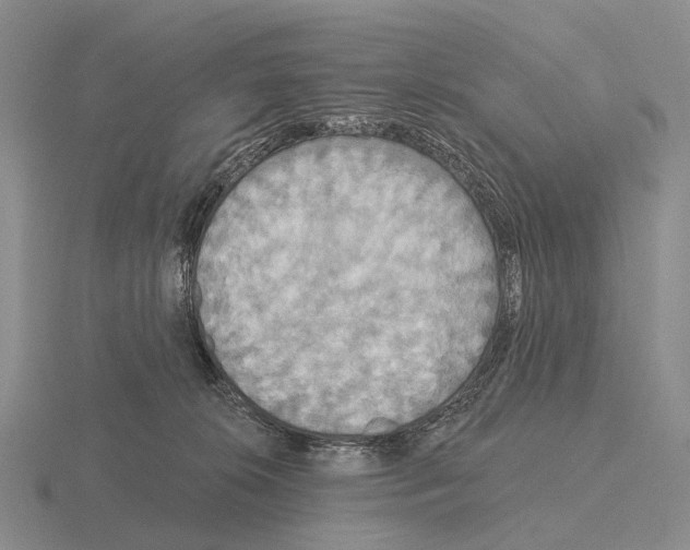 X0000115450276200912161520