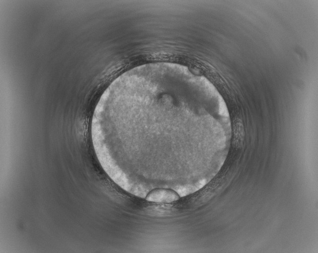 X0000115450278200912161520