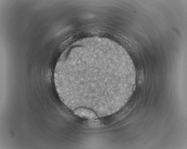 X0000115450279200912161520