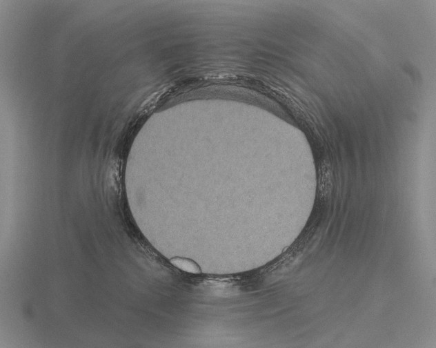 X0000115450280200912161520