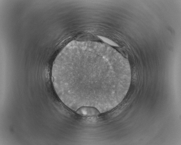 X0000115450282200912161520