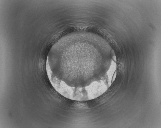 X0000115450283200912161520