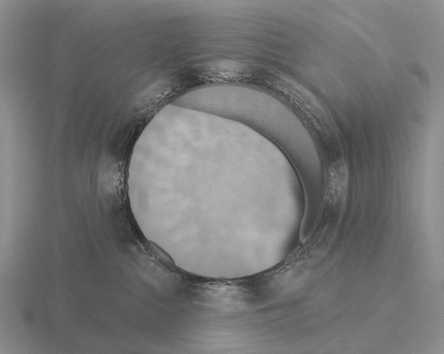 X0000115450284200912161520