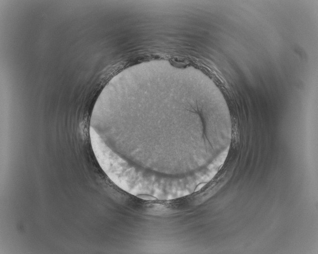 X0000115450285200912161520