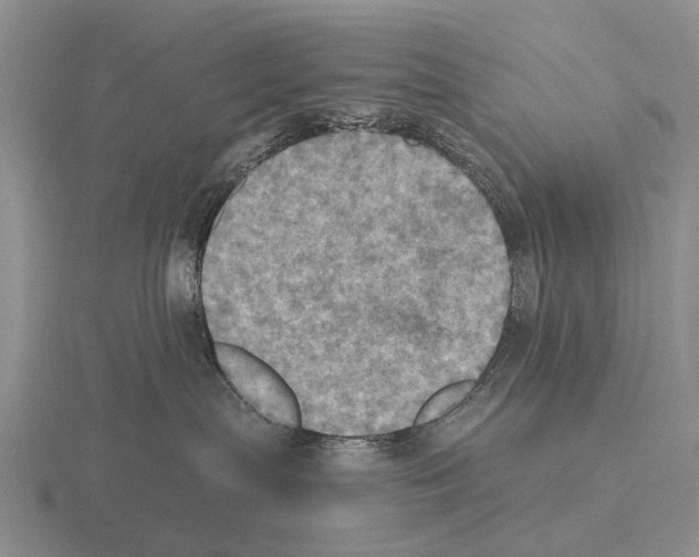 X0000115450287200912161520