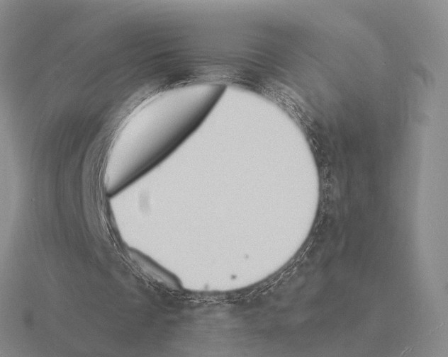 X0000115450289200912161520