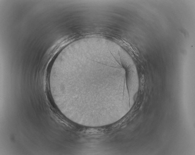 X0000115450290200912161520