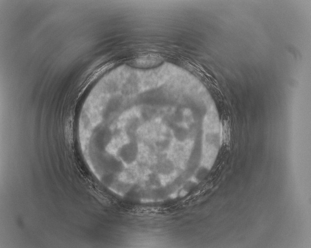 X0000115450291200912161520