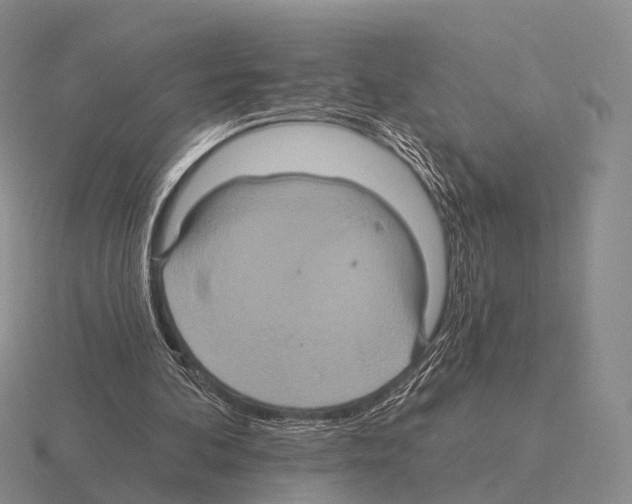 X0000115450292200912161520