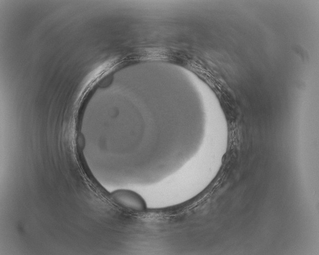 X0000115450293200912161520