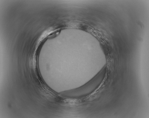 X0000115450294200912161520