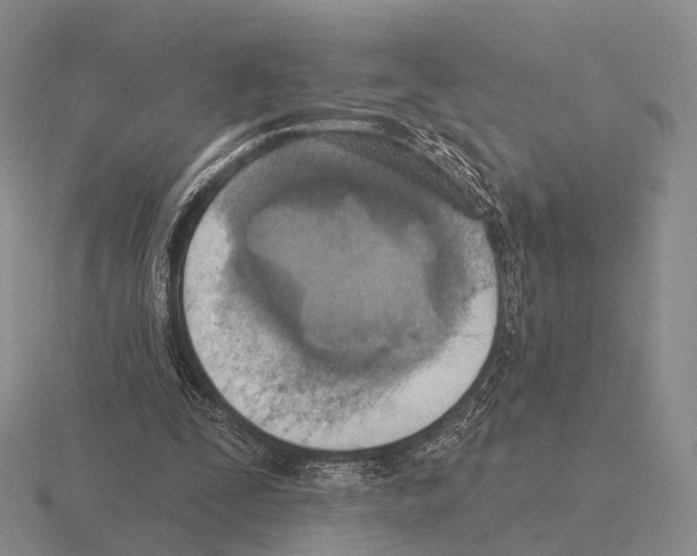 X0000115450295200912161520