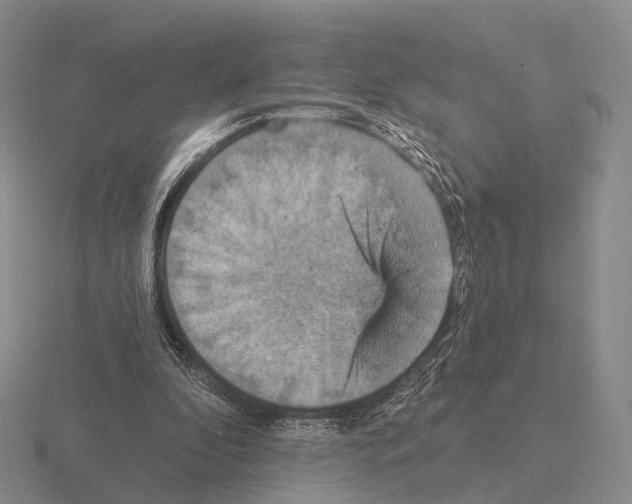 X0000115450296200912161520