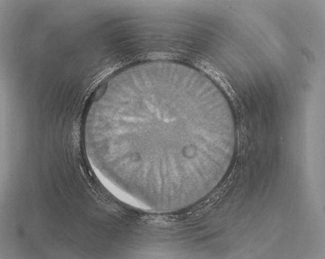 X0000115450297200912161520