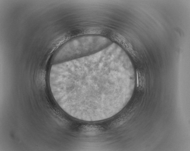 X0000115450300200912161520