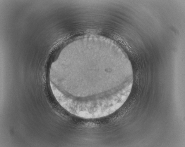 X0000115450303200912161520