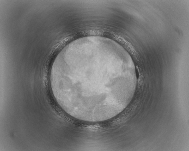 X0000115450306200912161520