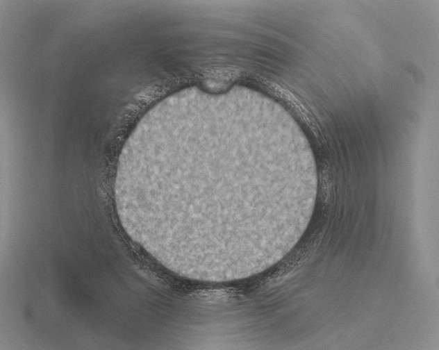 X0000115450307200912161520