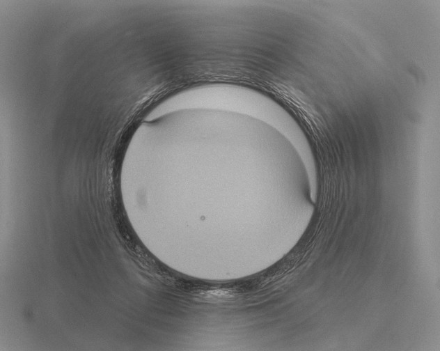 X0000115450312200912161519