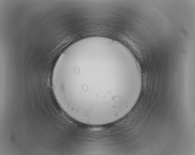 X0000115450313200912161519