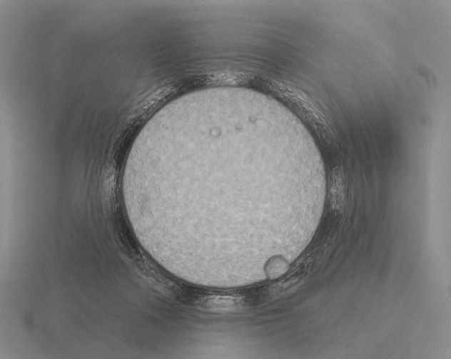 X0000115450314200912161519