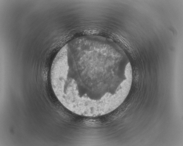 X0000115450315200912161519