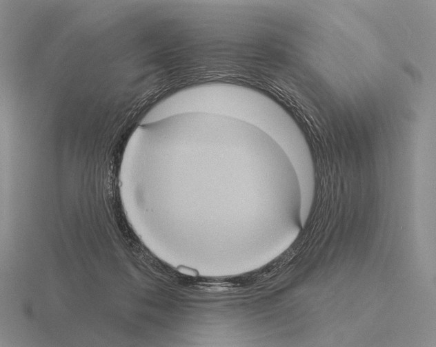 X0000115450316200912161519