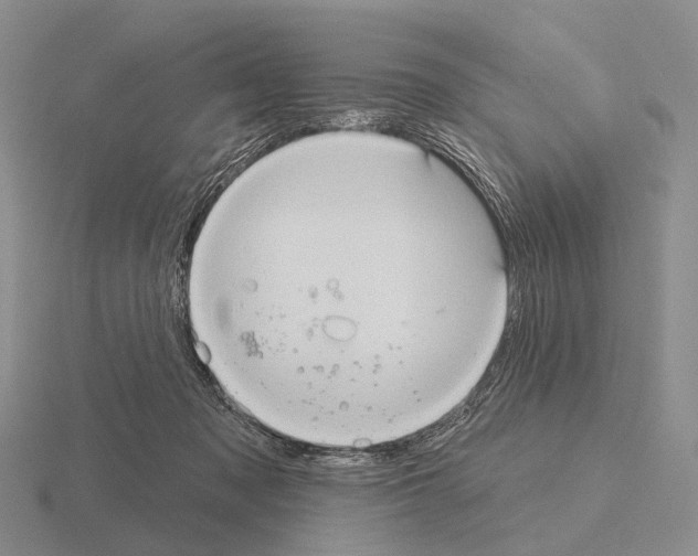 X0000115450317200912161519