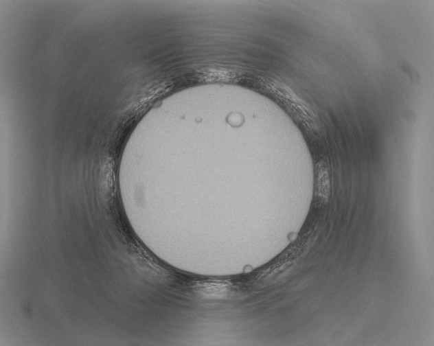 X0000115450318200912161519