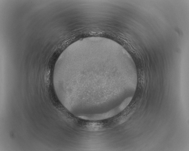 X0000115450319200912161519