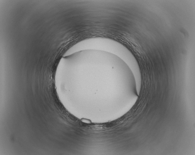 X0000115450320200912161519