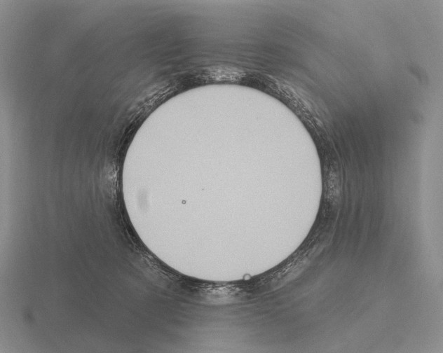 X0000115450321200912161519