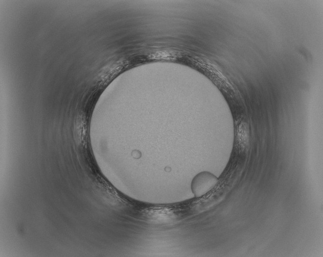 X0000115450322200912161519