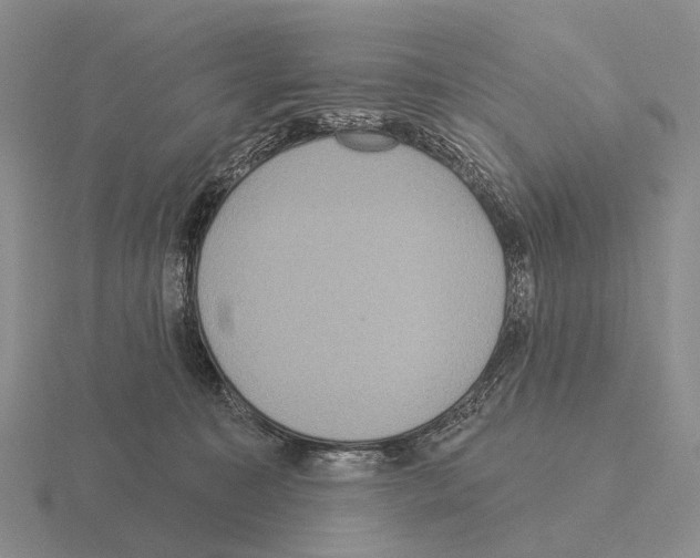 X0000115450323200912161519