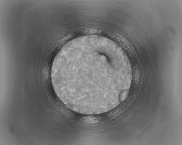 X0000115450326200912161519