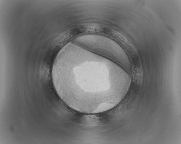 X0000115450327200912161519