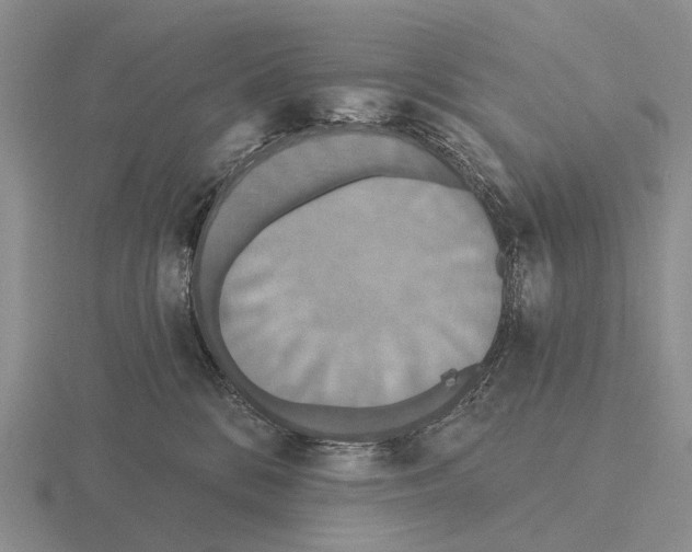 X0000115450328200912161519