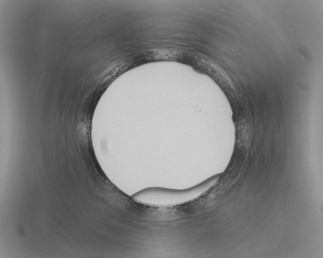 X0000115450329200912161519