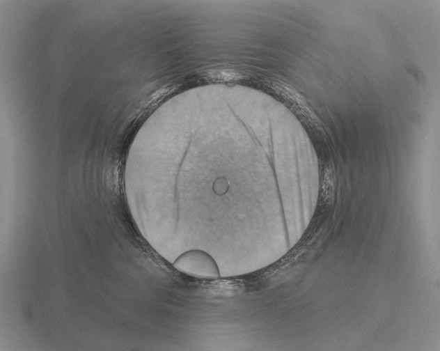 X0000115450330200912161519