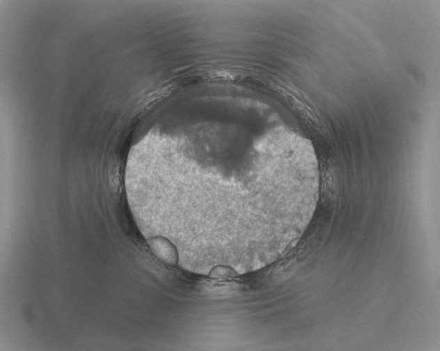 X0000115450331200912161519