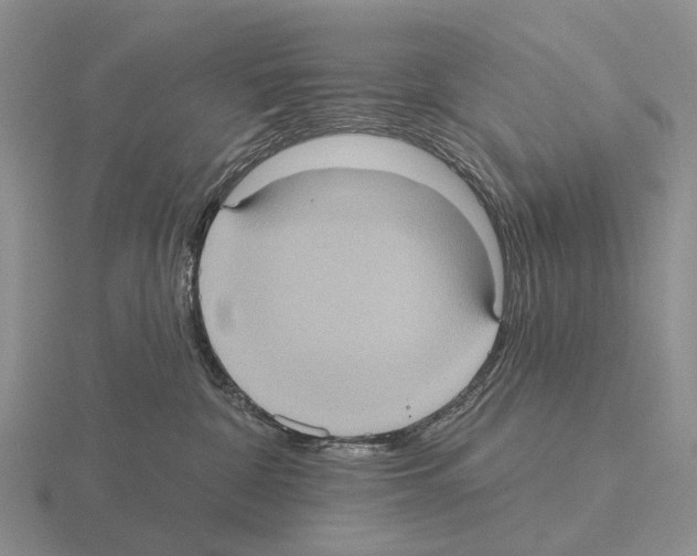 X0000115450332200912161519