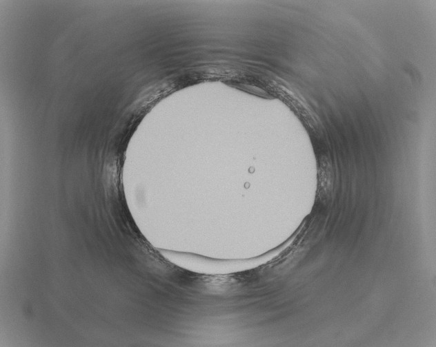 X0000115450333200912161519