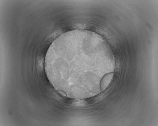 X0000115450334200912161519