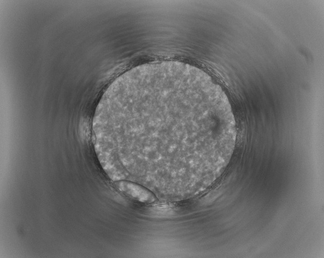 X0000115450335200912161519