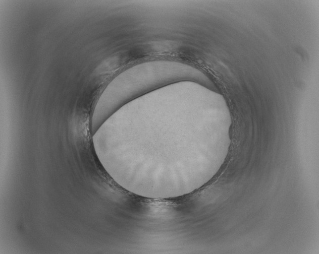 X0000115450336200912161519