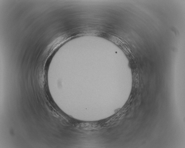 X0000115450338200912161519